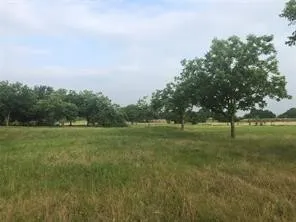 a big yard with lots of green space and trampoline