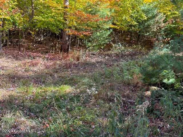 $199,500 | 30 Vanare Lane, Lake Luzerne, NY 12846