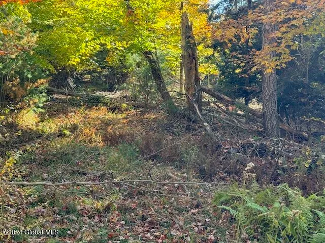 $199,500 | 30 Vanare Lane, Lake Luzerne, NY 12846