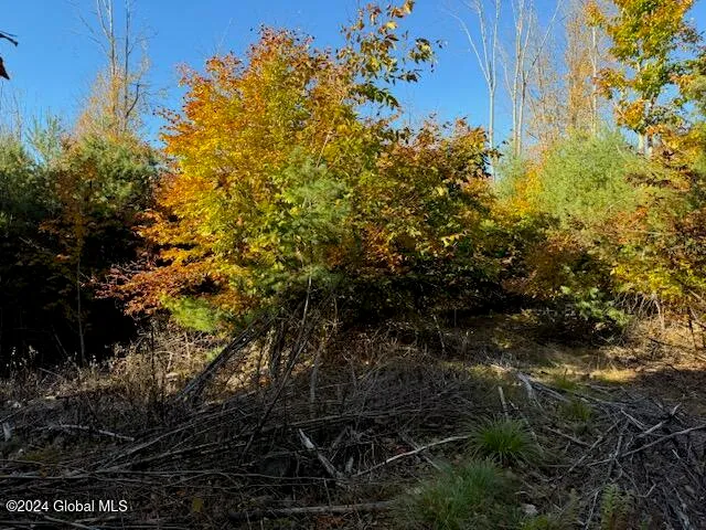 $199,500 | 30 Vanare Lane, Lake Luzerne, NY 12846