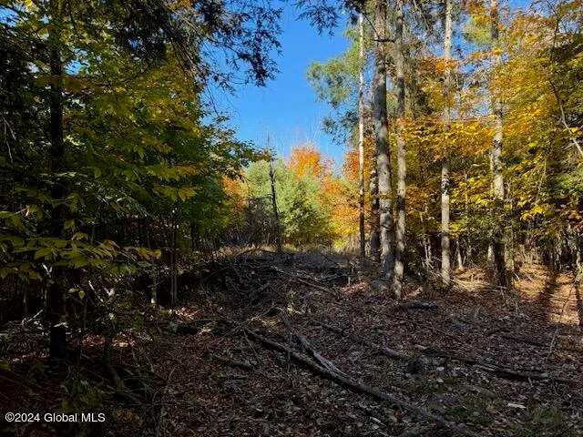 $199,500 | 30 Vanare Lane, Lake Luzerne, NY 12846