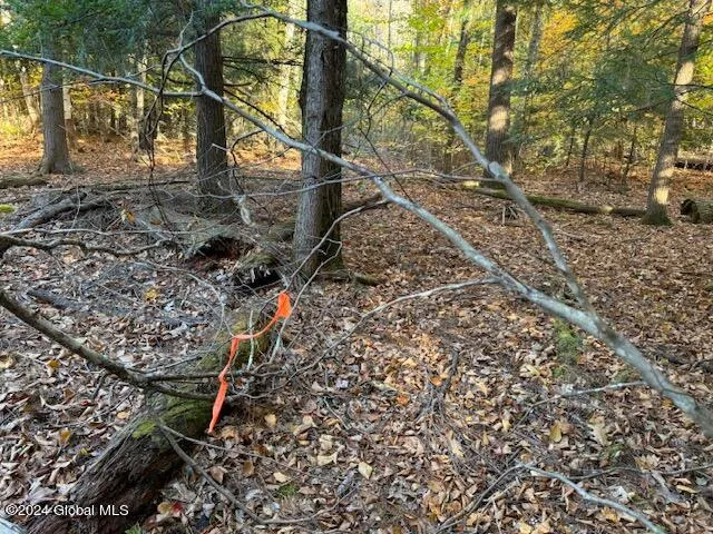 $199,500 | 30 Vanare Lane, Lake Luzerne, NY 12846