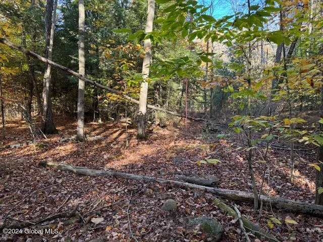 $199,500 | 30 Vanare Lane, Lake Luzerne, NY 12846