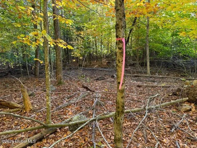 $199,500 | 30 Vanare Lane, Lake Luzerne, NY 12846