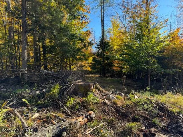 $199,500 | 30 Vanare Lane, Lake Luzerne, NY 12846