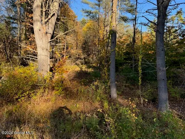 $199,500 | 30 Vanare Lane, Lake Luzerne, NY 12846