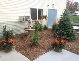 a bunch of flowers are sitting in the backyard