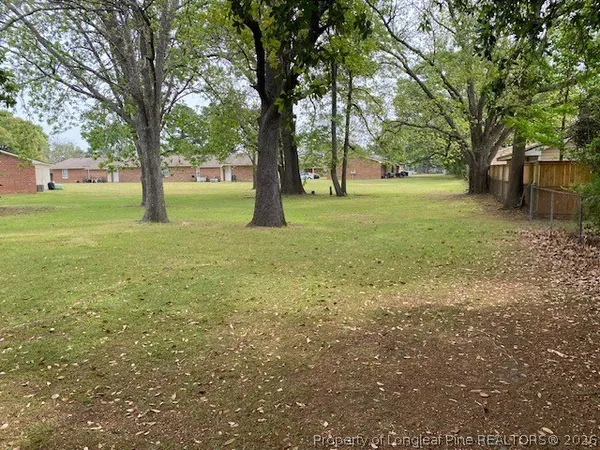 a view of a tree in a yard