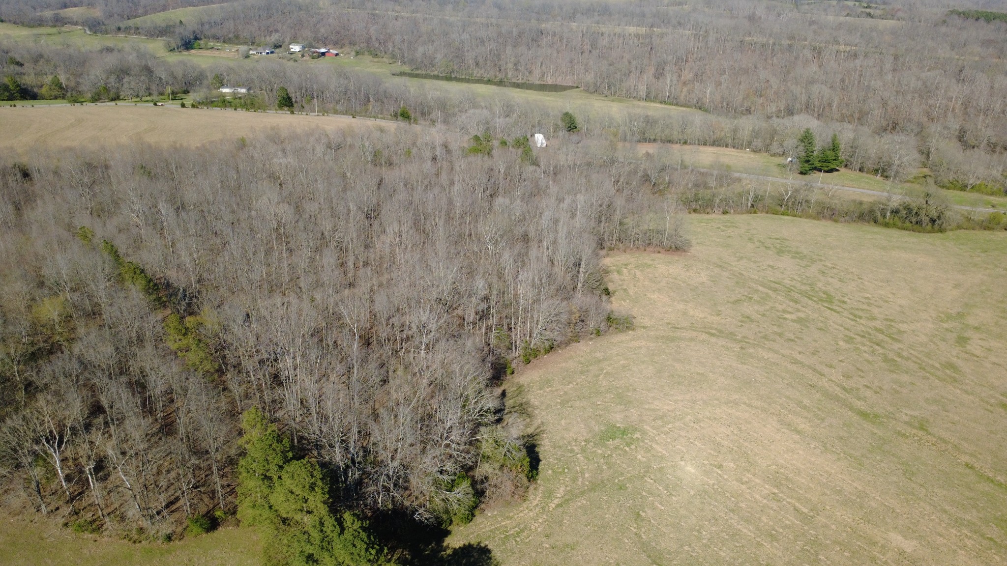 100 Concord Road Leoma, TN 38468 - Photo 11 of 54