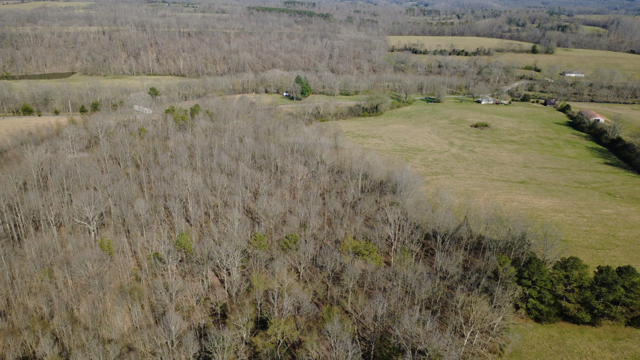 100 Concord Road Leoma, TN 38468 - Photo 13 of 54