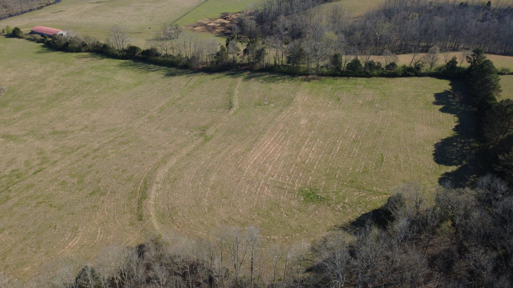 100 Concord Road Leoma, TN 38468 - Photo 16 of 54