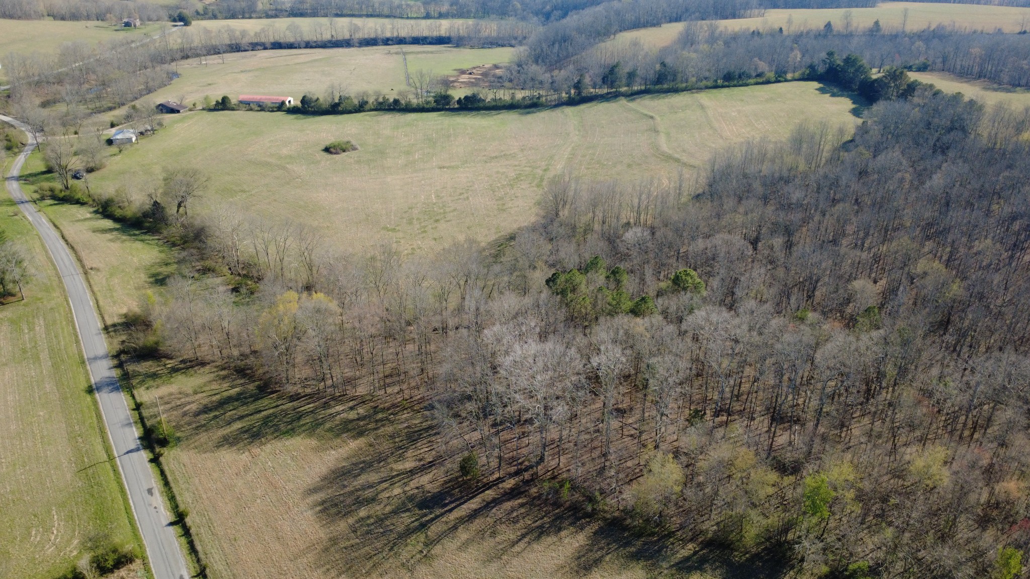 100 Concord Road Leoma, TN 38468 - Photo 18 of 54