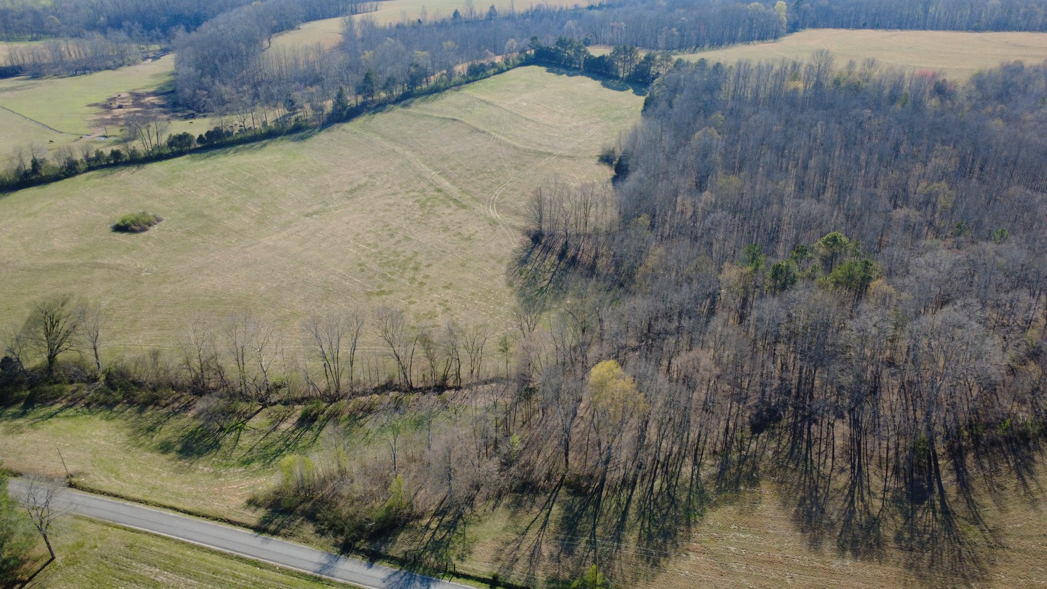 100 Concord Road Leoma, TN 38468 - Photo 21 of 54