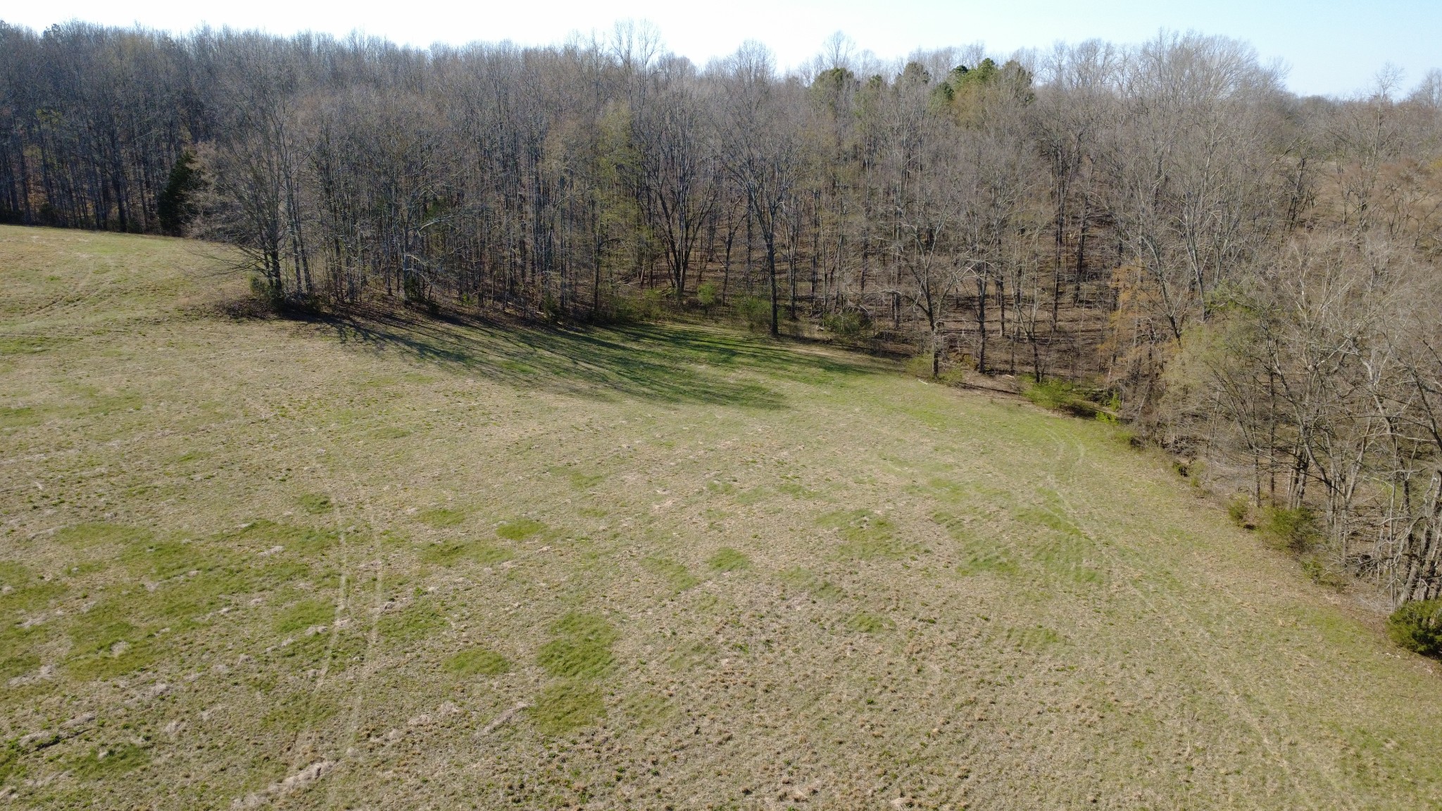100 Concord Road Leoma, TN 38468 - Photo 30 of 54