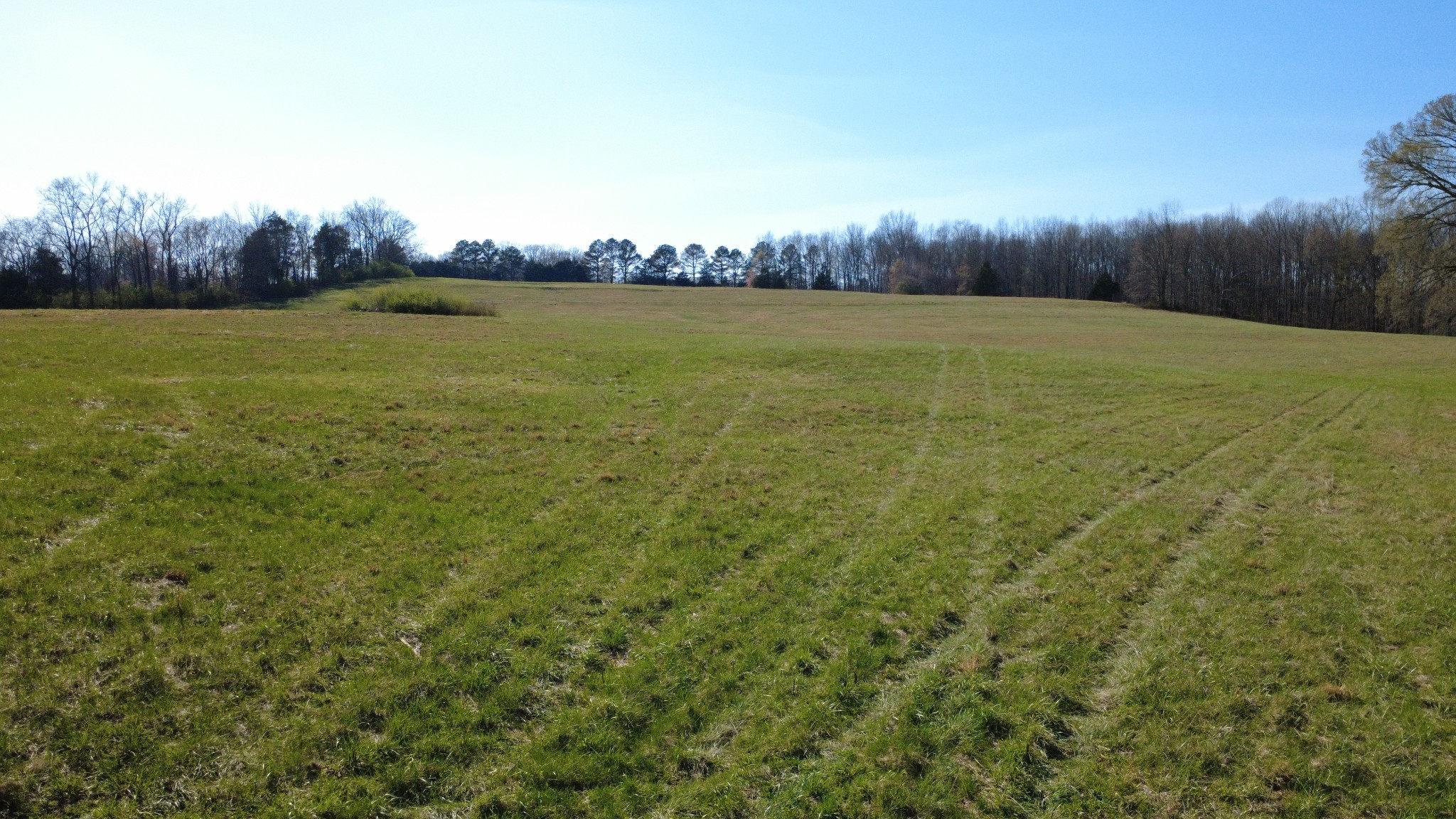 100 Concord Road Leoma, TN 38468 - Photo 3 of 54