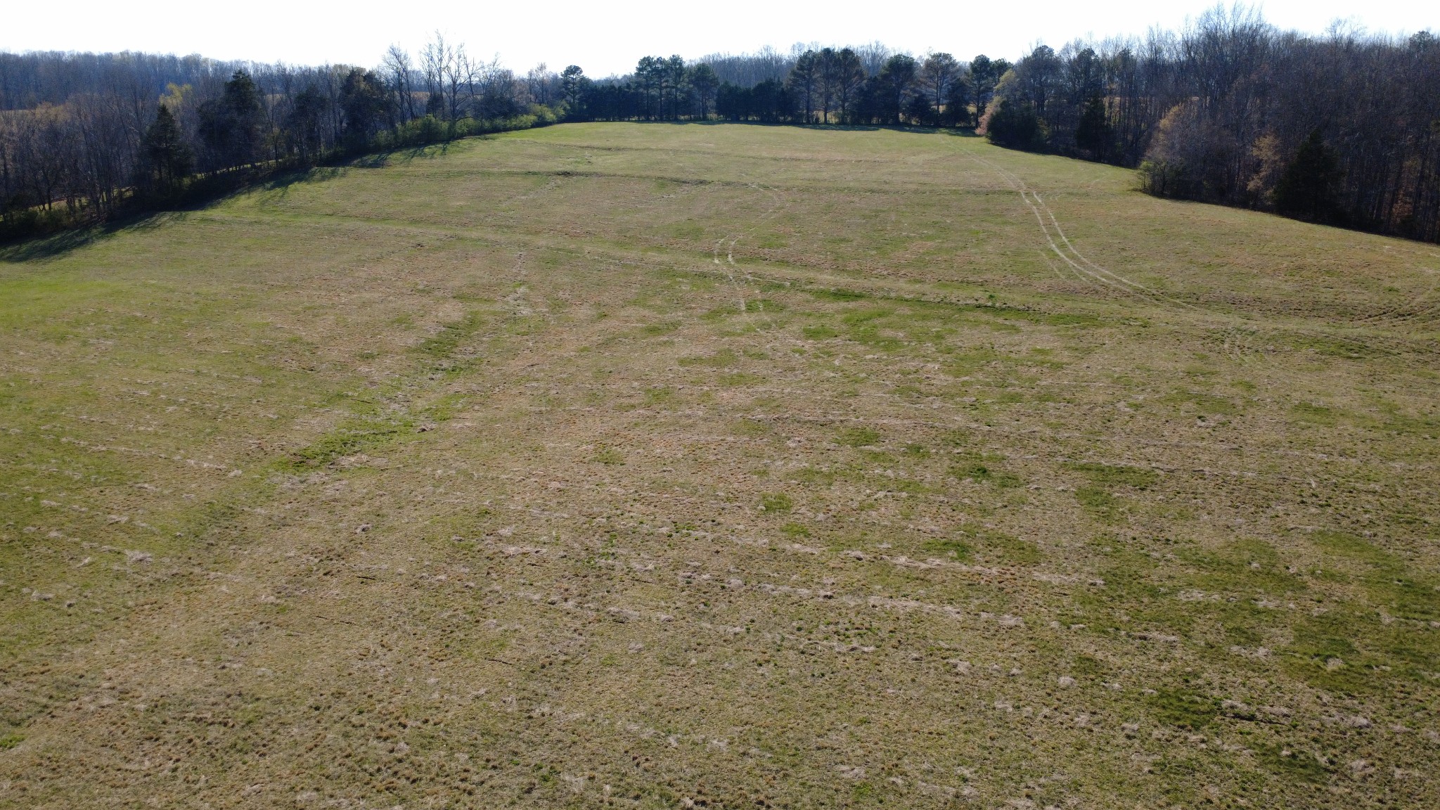 100 Concord Road Leoma, TN 38468 - Photo 31 of 54