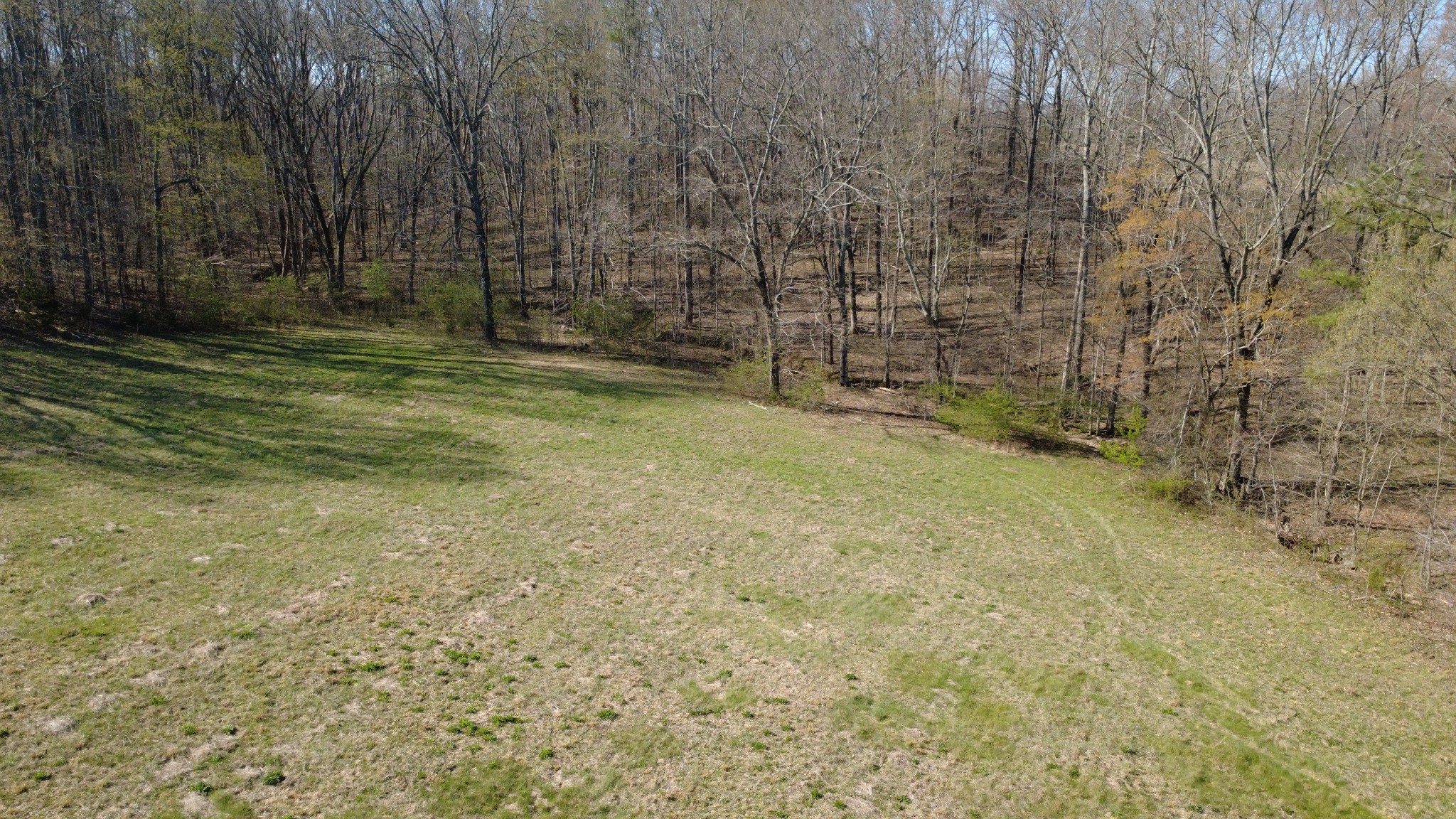 100 Concord Road Leoma, TN 38468 - Photo 32 of 54