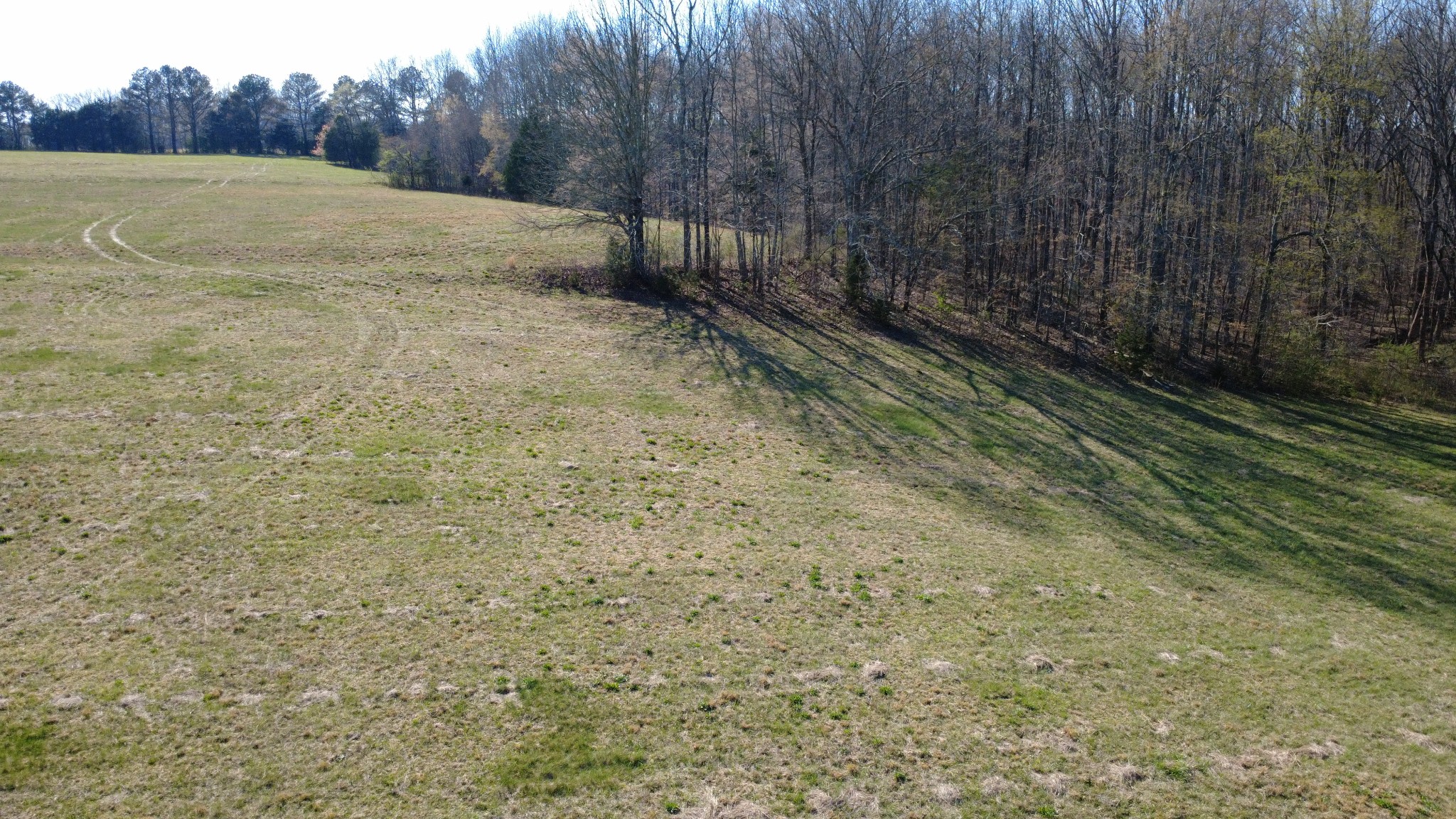 100 Concord Road Leoma, TN 38468 - Photo 35 of 54