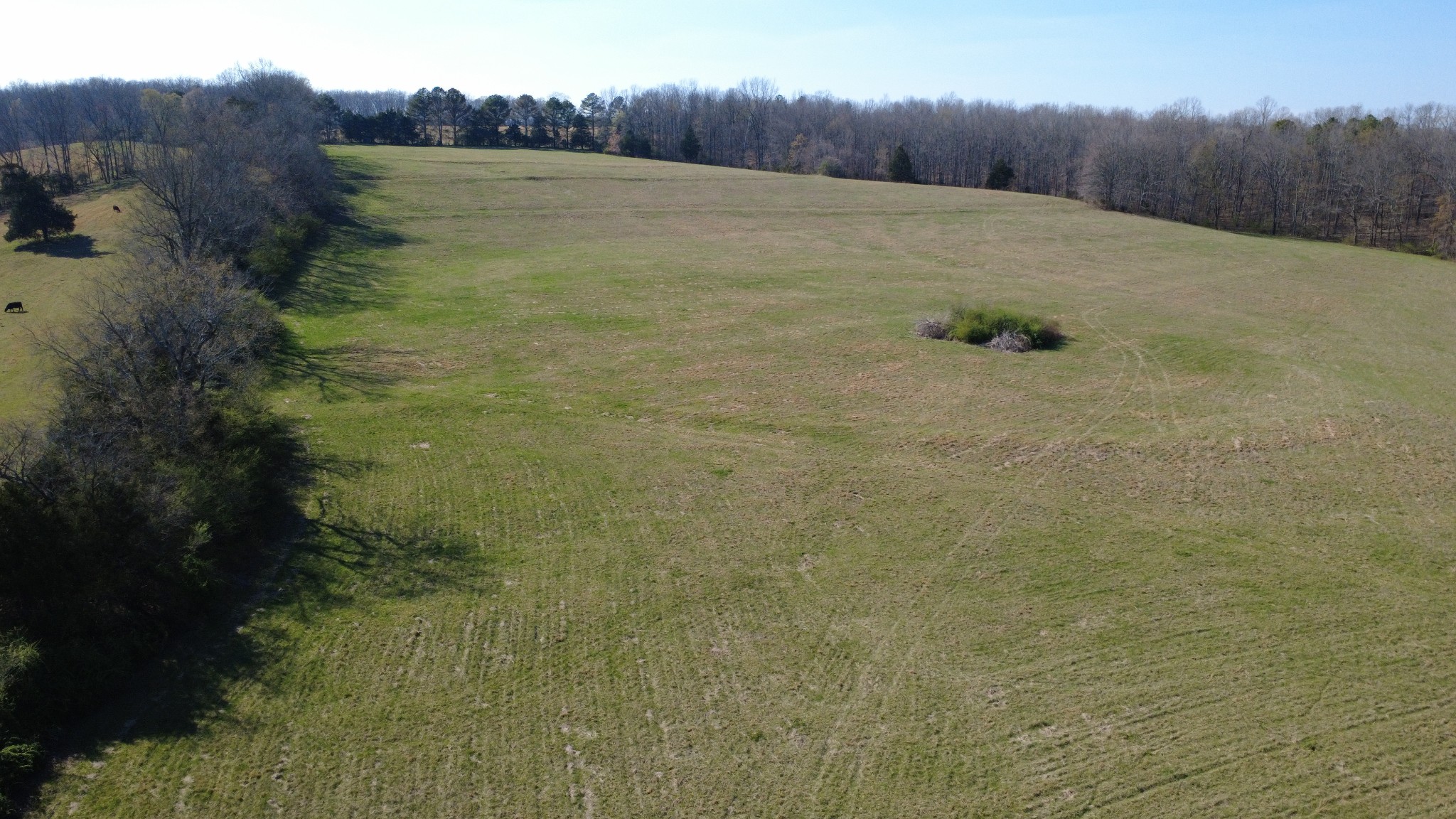 100 Concord Road Leoma, TN 38468 - Photo 4 of 54