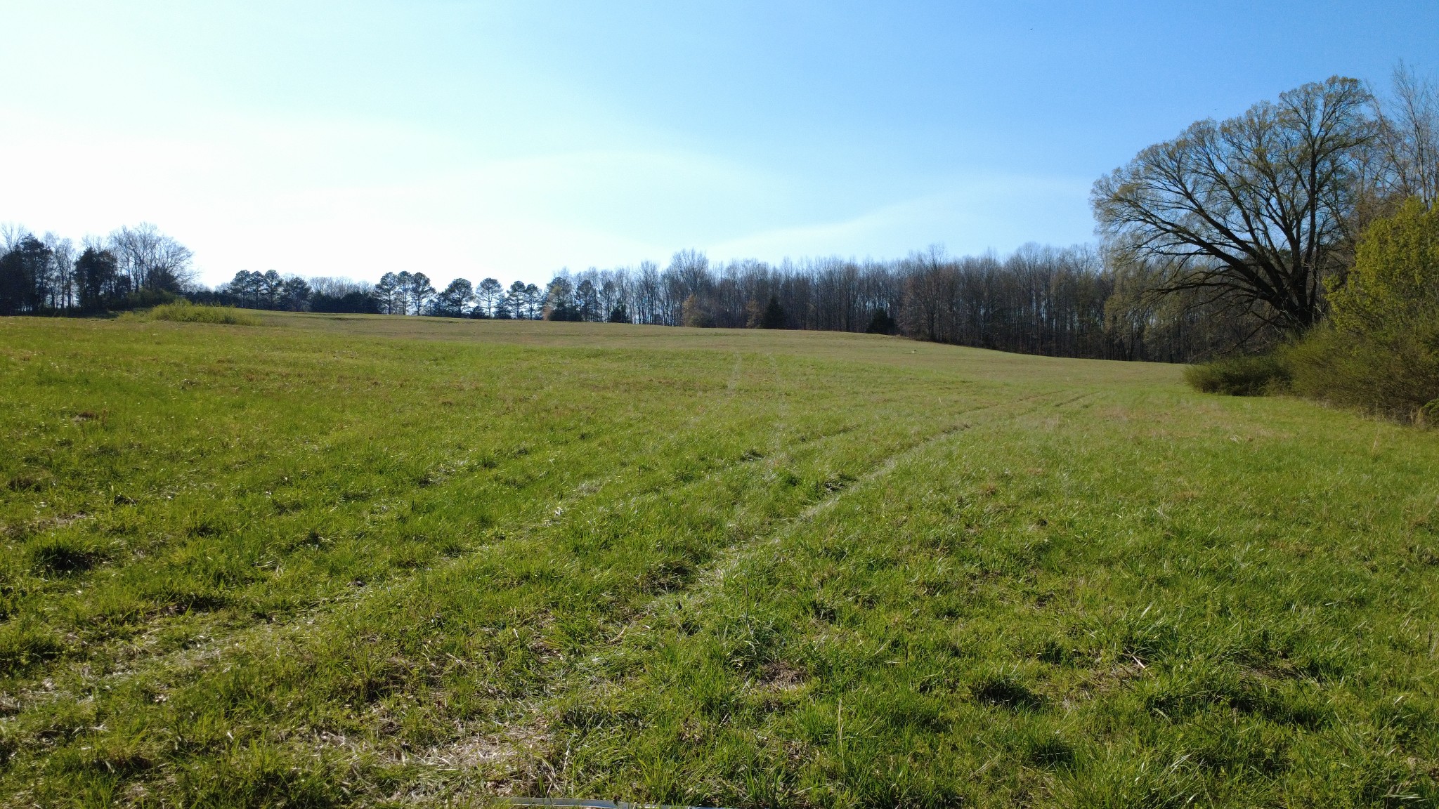 100 Concord Road Leoma, TN 38468 - Photo 44 of 54