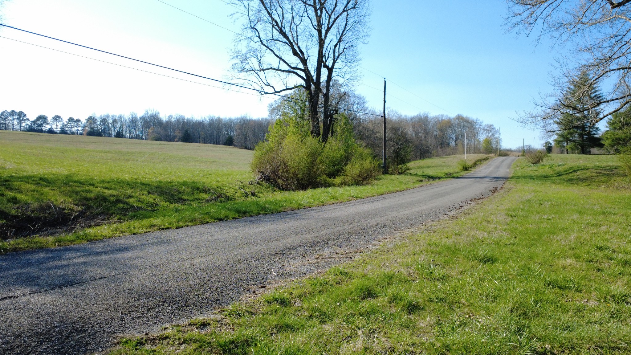 100 Concord Road Leoma, TN 38468 - Photo 46 of 54