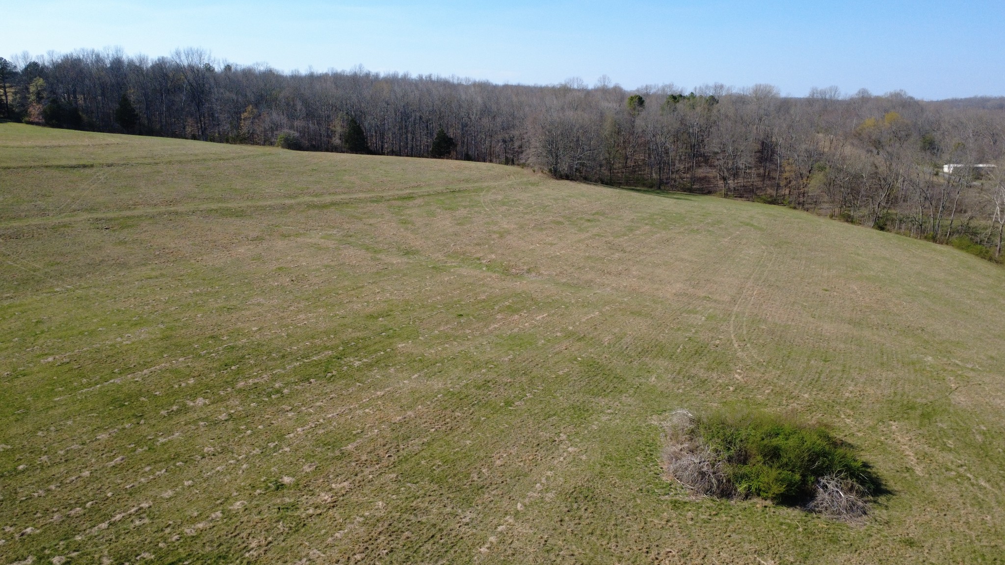 100 Concord Road Leoma, TN 38468 - Photo 6 of 54