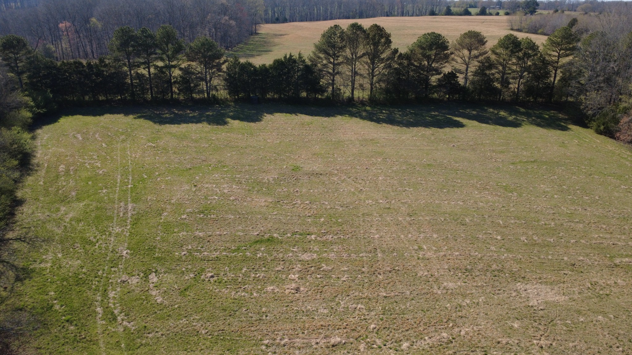 100 Concord Road Leoma, TN 38468 - Photo 8 of 54