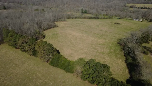 a view of a dry yard