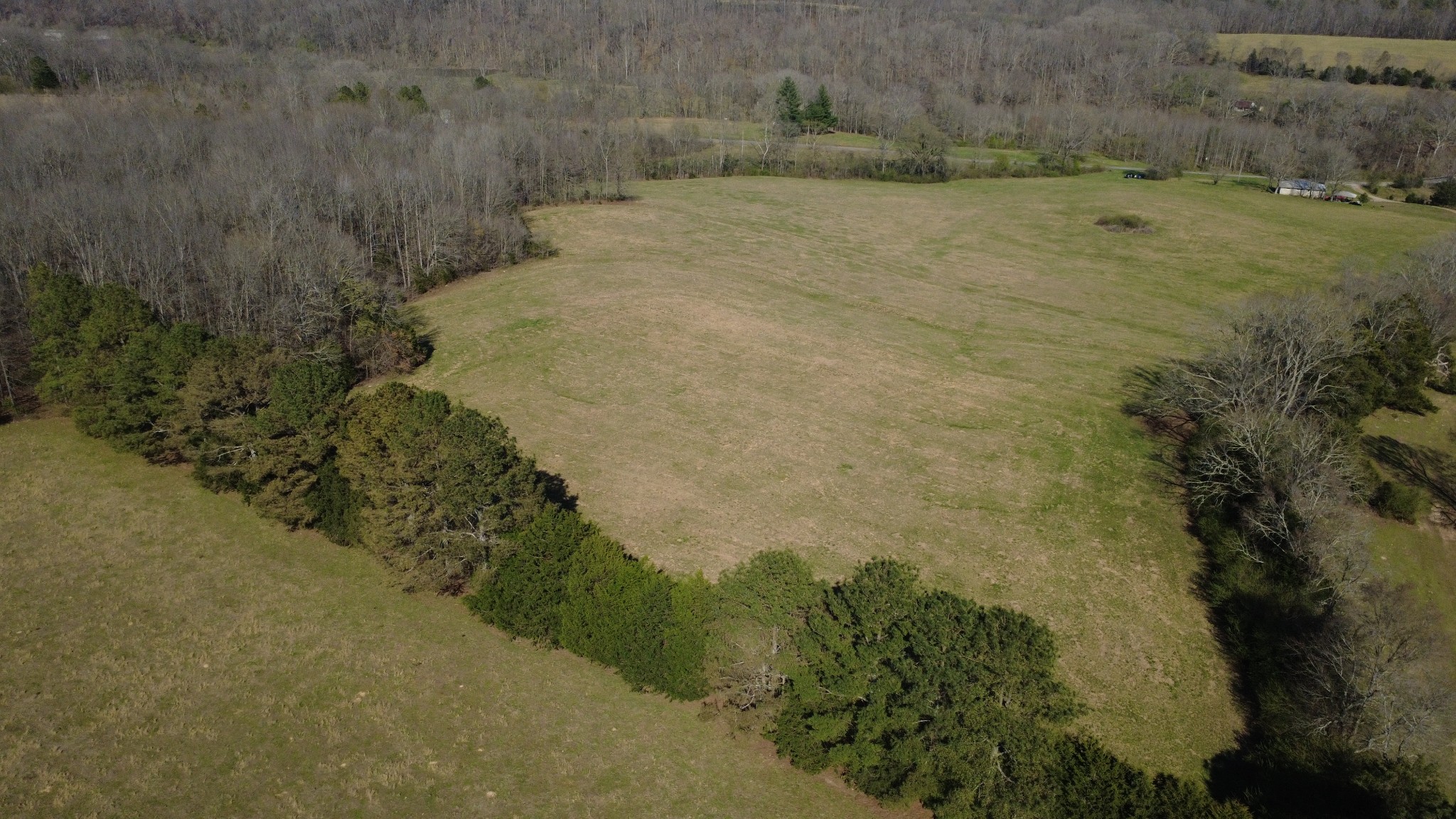 100 Concord Road Leoma, TN 38468 - Photo 9 of 54