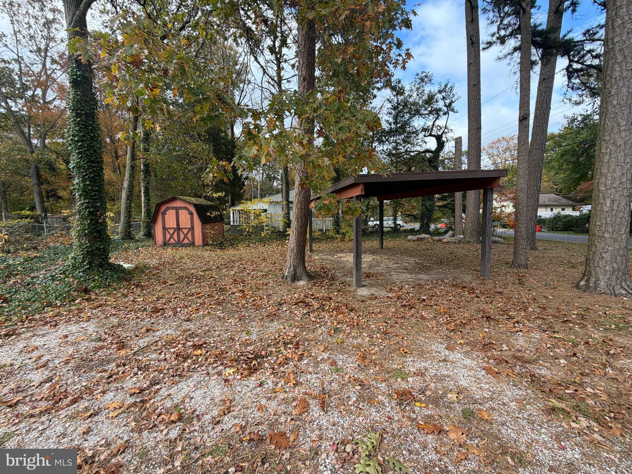 537 Dandelion Road Millville, NJ 08332 - Photo 6 of 33 a backyard of a house with lots of green space