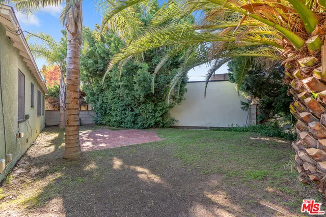 a view of a yard with plants and trees