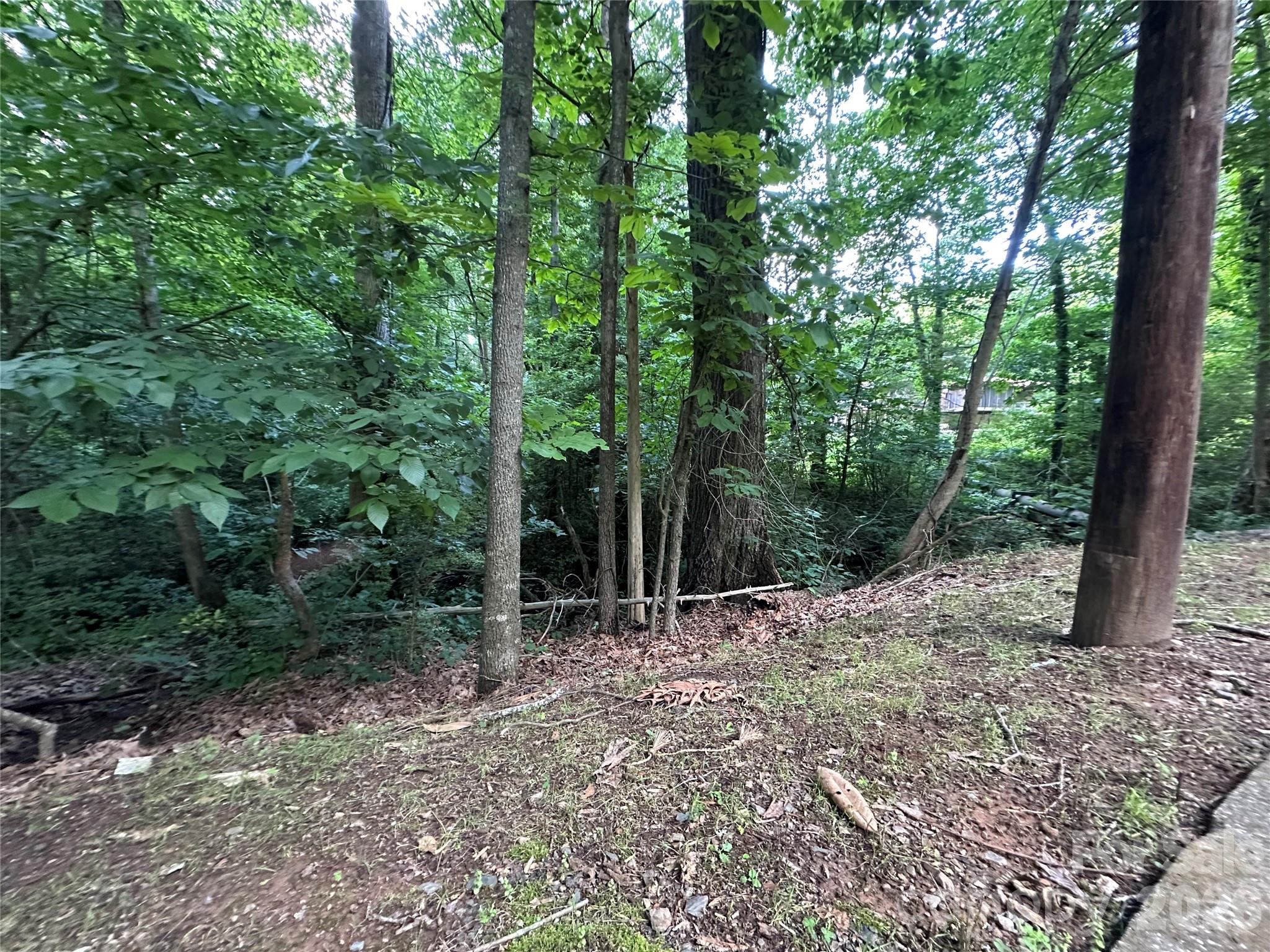 0 Briarcliff Road Rockwell, NC 28138 - Photo 18 of 25