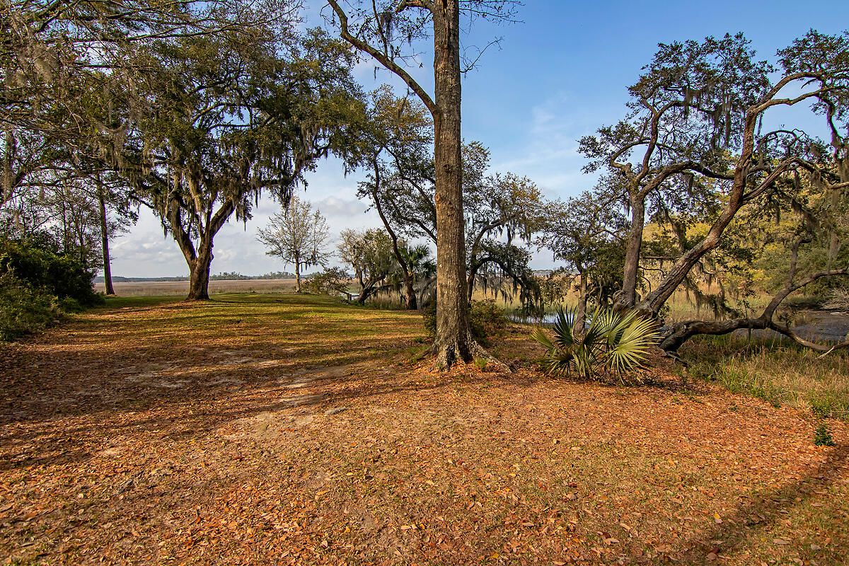 6918 Bears Bluff Road Wadmalaw Island, SC 29487 - Photo 11 of 51 CREM_6918 Bears Bluff_066