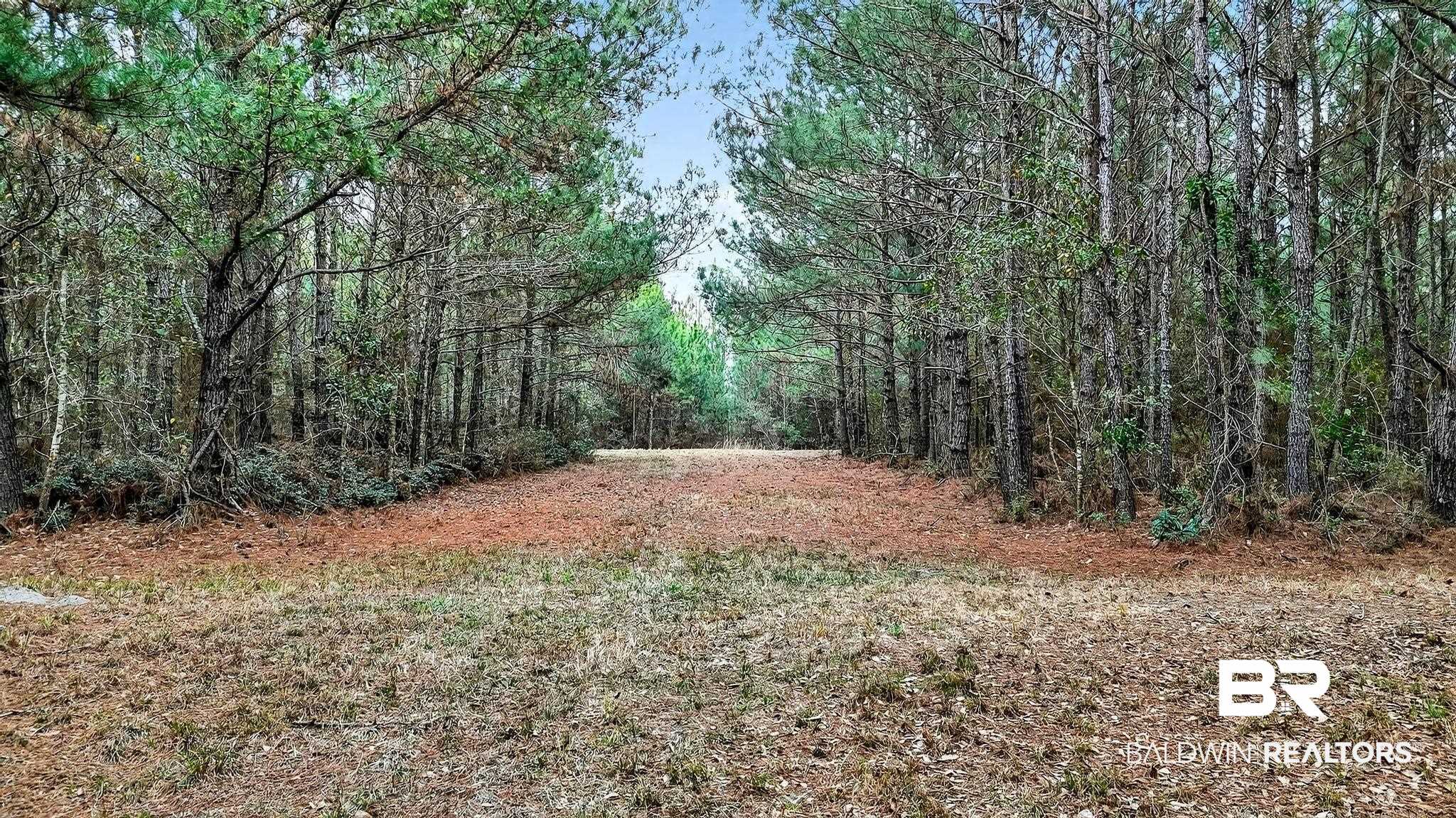 0 Hemley Road Bayou La Batre, AL 36509 - Photo 14 of 28