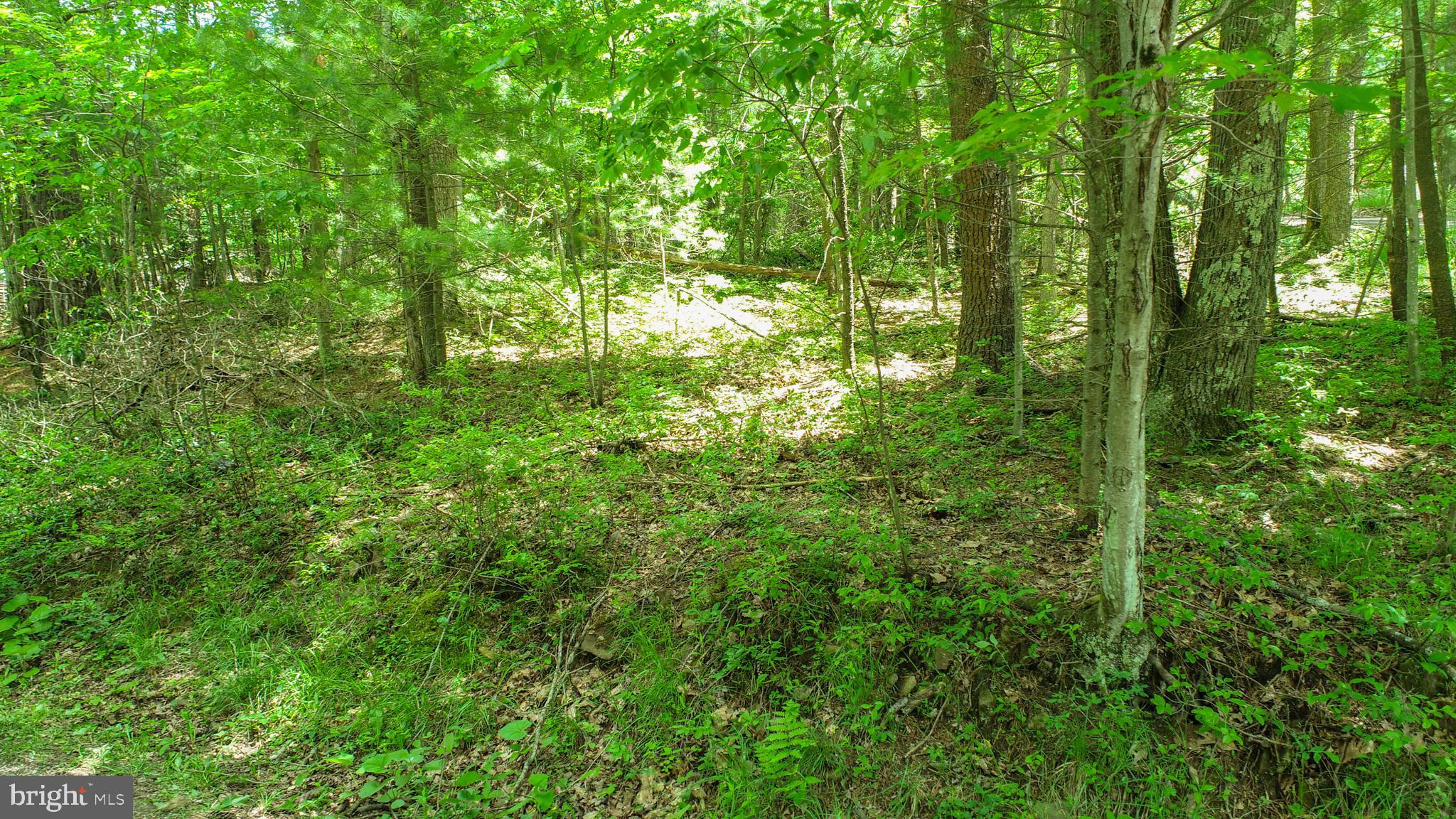 North Glade Road Swanton, MD 21561 - Photo 14 of 16