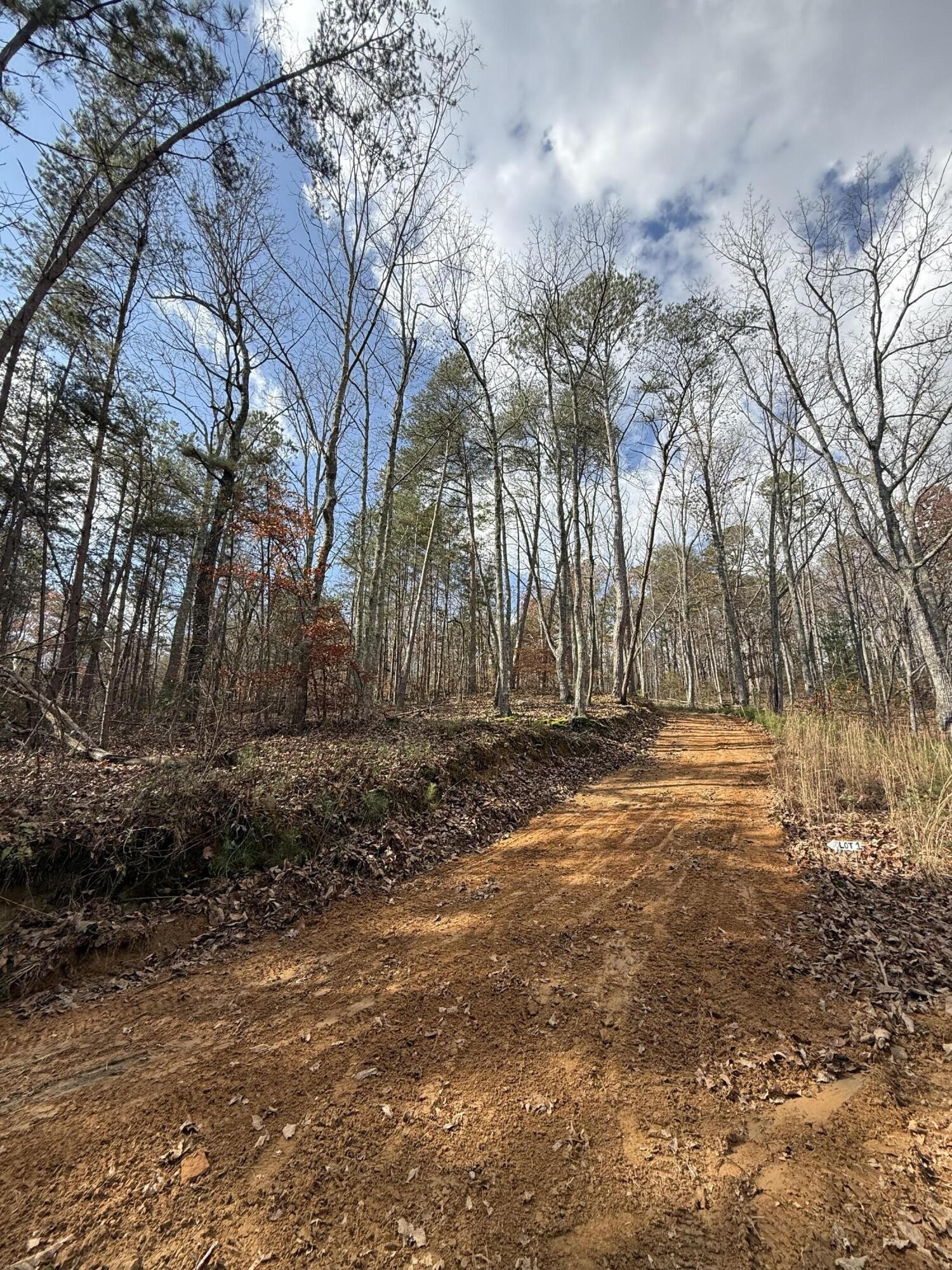 1 Parksville Road Benton, TN 37307 - Photo 1 of 16