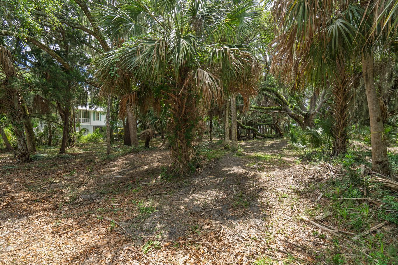 3322 Myrtle Street Edisto Island, SC 29438 - Photo 15 of 26