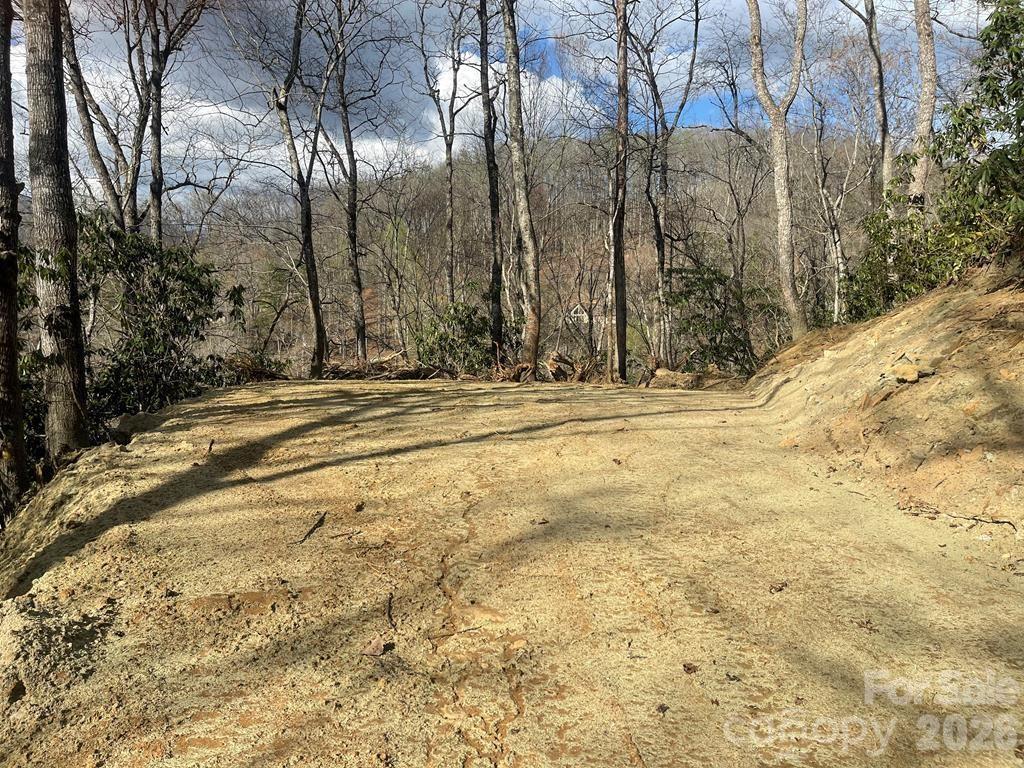 700 Copperhead Cove Road Sylva, NC 28779 - Photo 12 of 23
