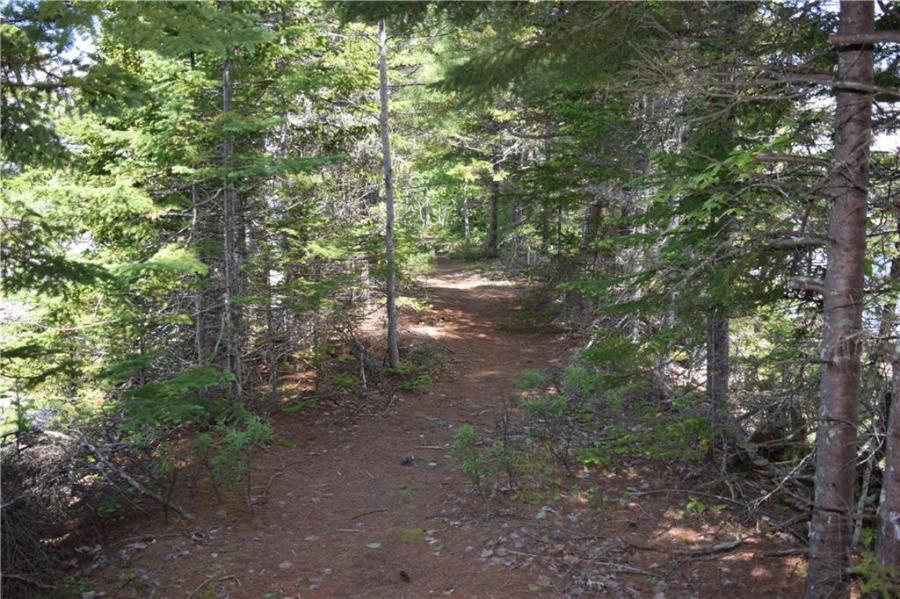 660 Bayside Road Ellsworth, ME 04605 - Photo 6 of 10 Path to Shore