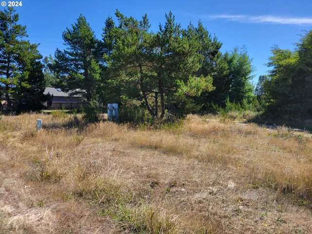 a view of a yard with a tree