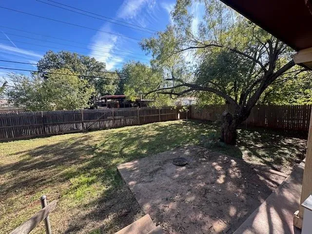 a view of backyard with tree