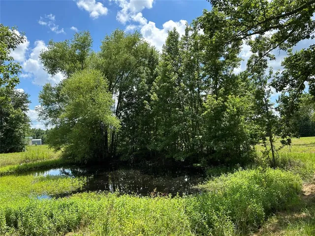 a view of a yard with a trees