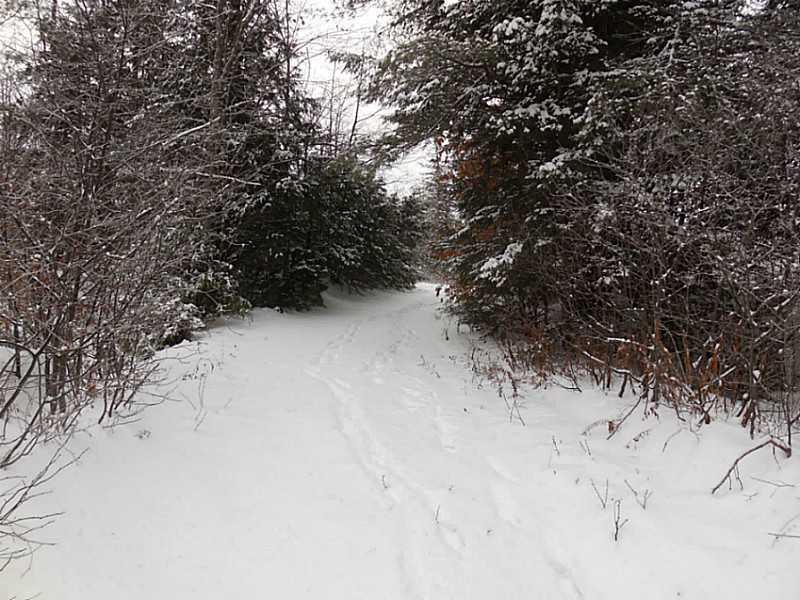 Lot #1 Off South Road Parsonsfield, ME 04047 - Photo 21 of 35 Land.