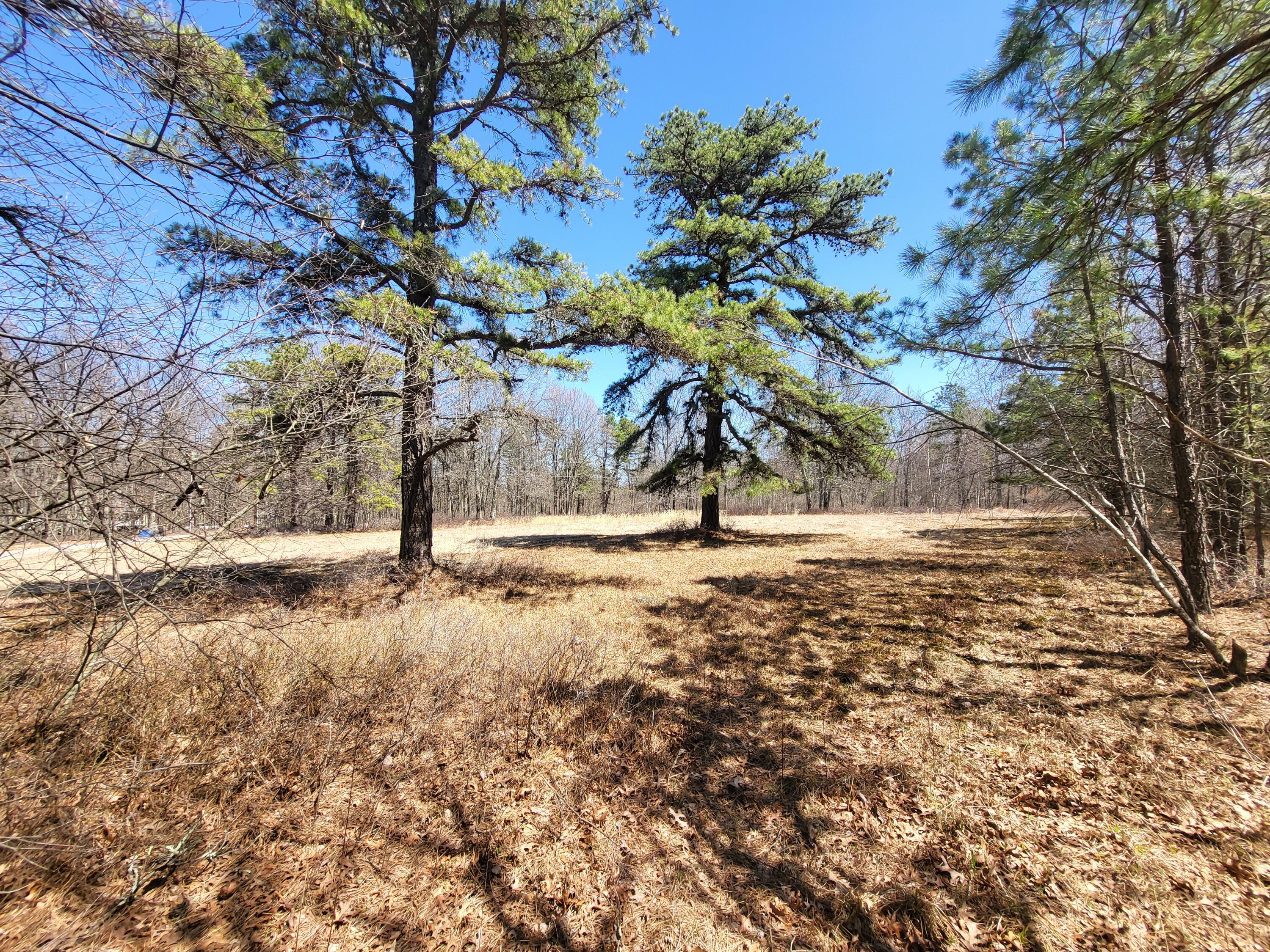 Parcel E Parcel E Buckhorn Lane Cresco, PA 18326 - Photo 1 of 6 a view of a yard with wooden fence
