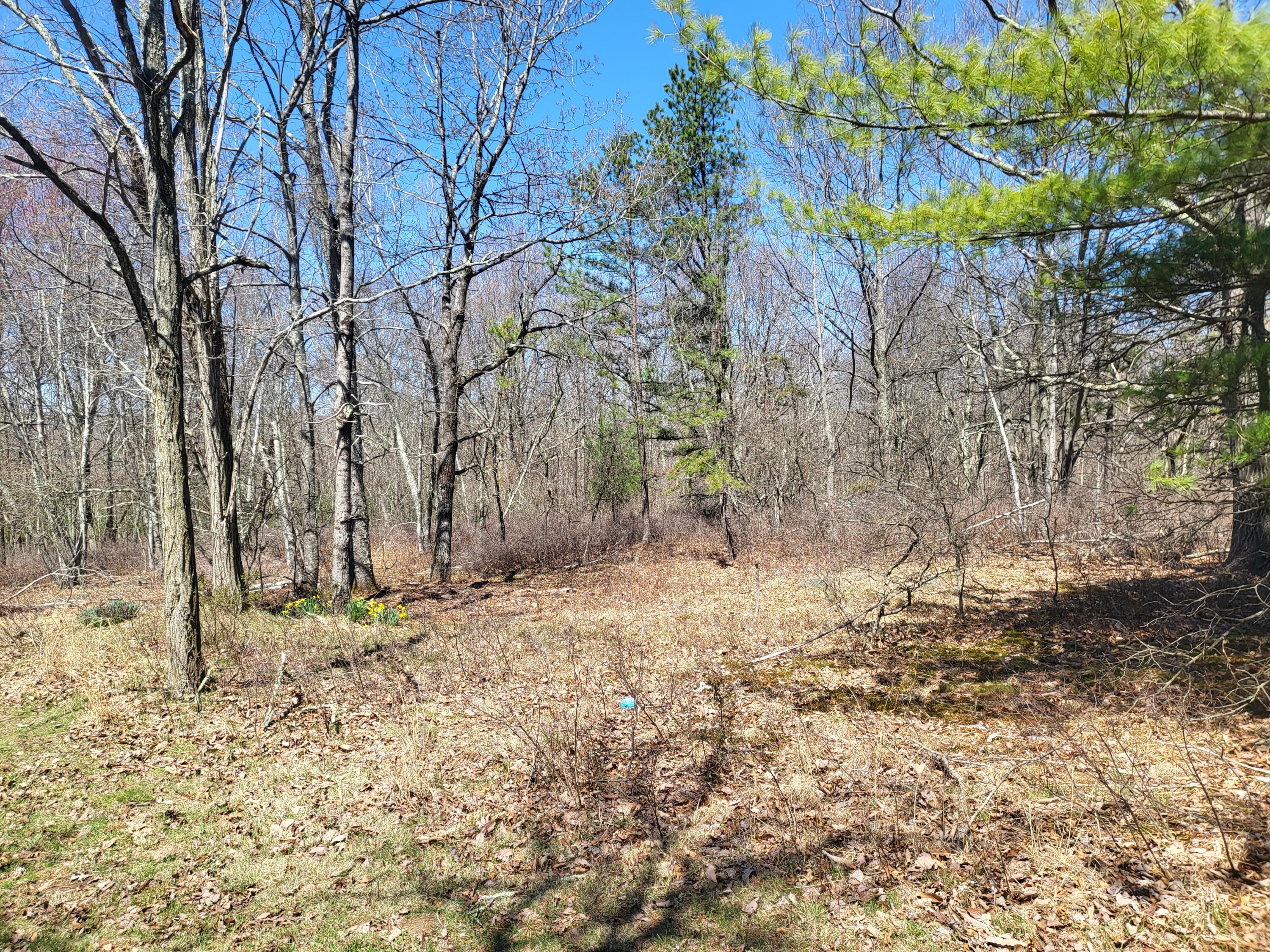 Parcel E Parcel E Buckhorn Lane Cresco, PA 18326 - Photo 2 of 6 a backyard of a house with lots of green space