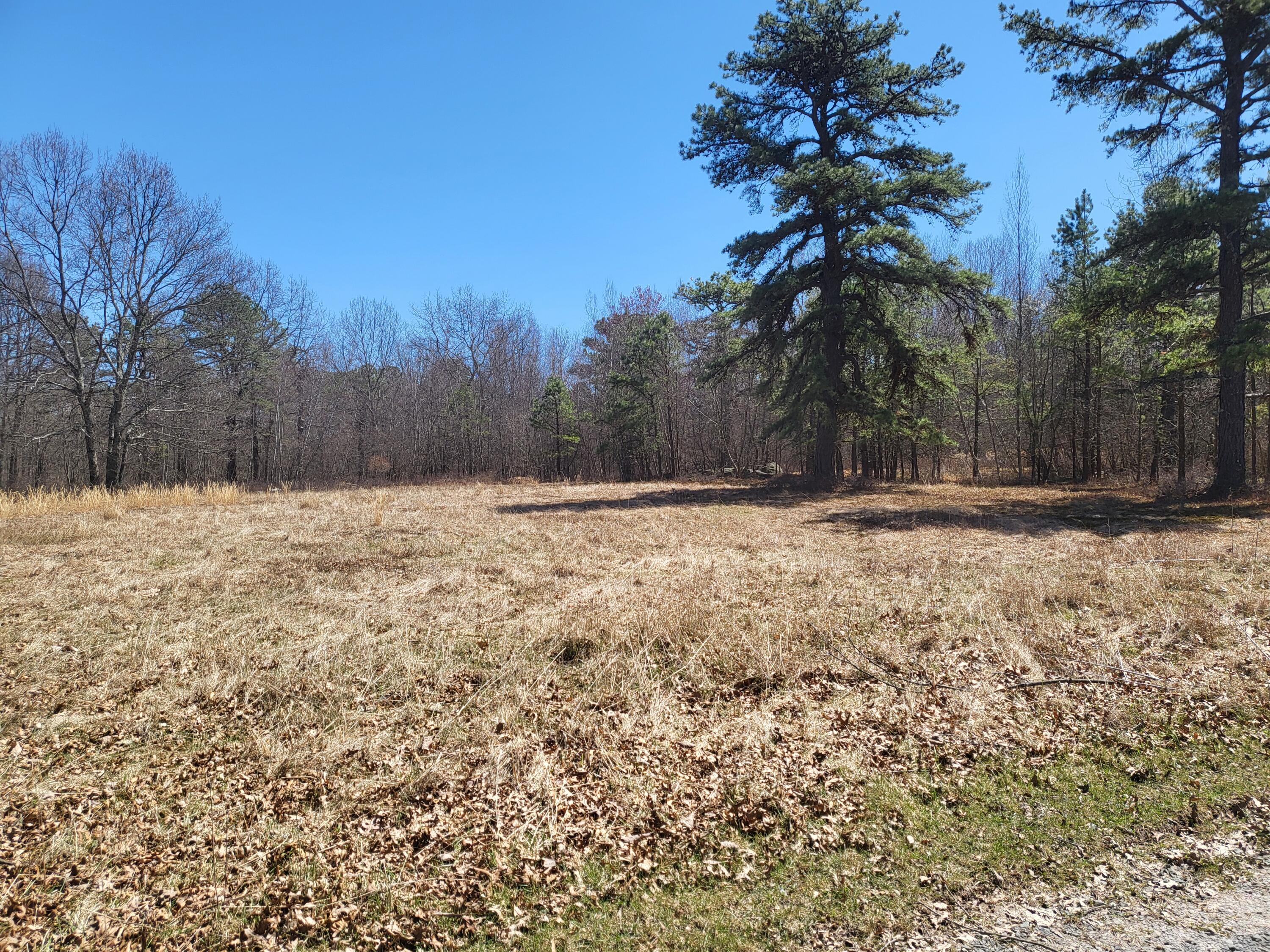 Parcel E Parcel E Buckhorn Lane Cresco, PA 18326 - Photo 3 of 6