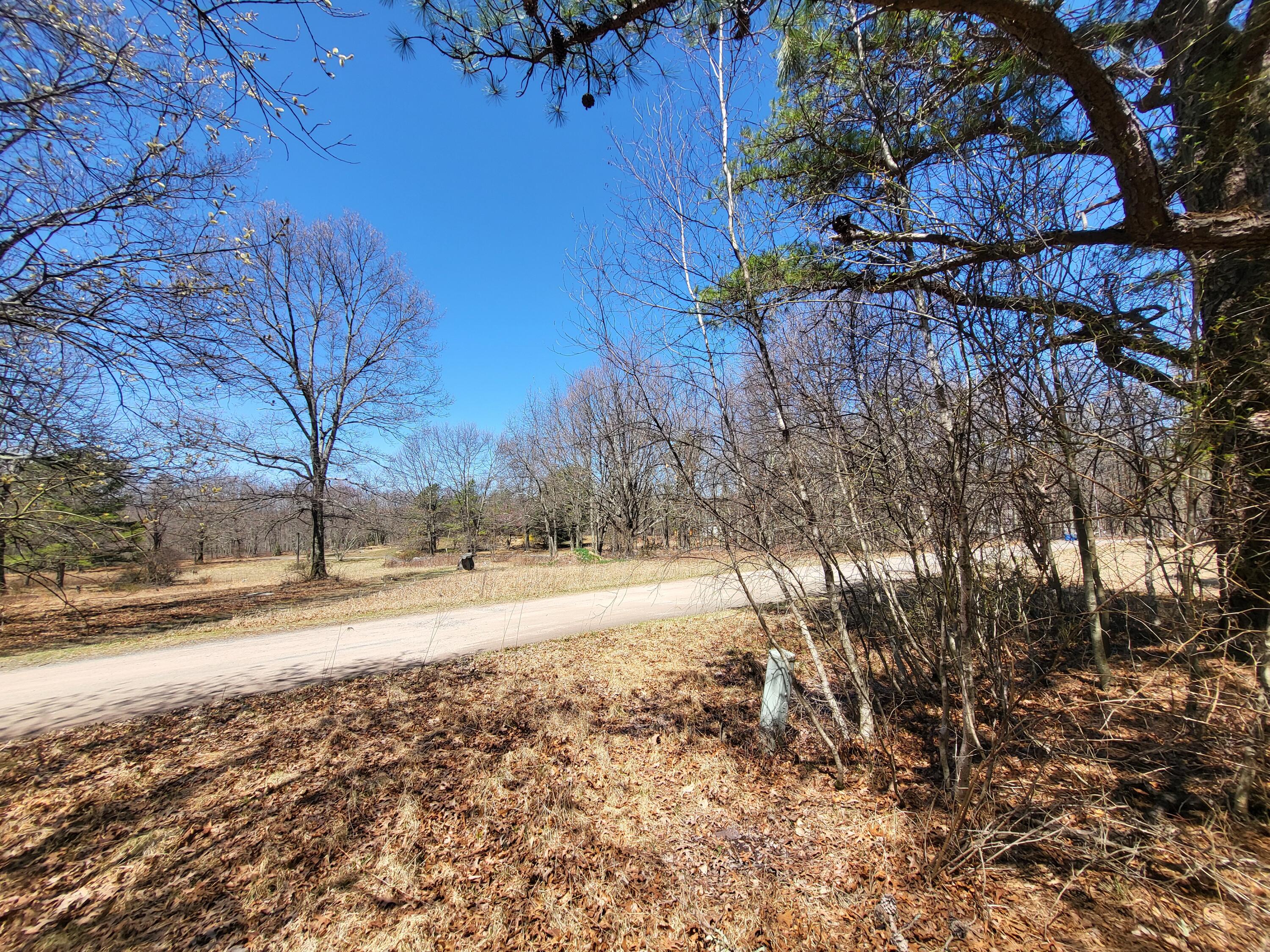 Parcel E Parcel E Buckhorn Lane Cresco, PA 18326 - Photo 5 of 6 a view of a yard with a tree
