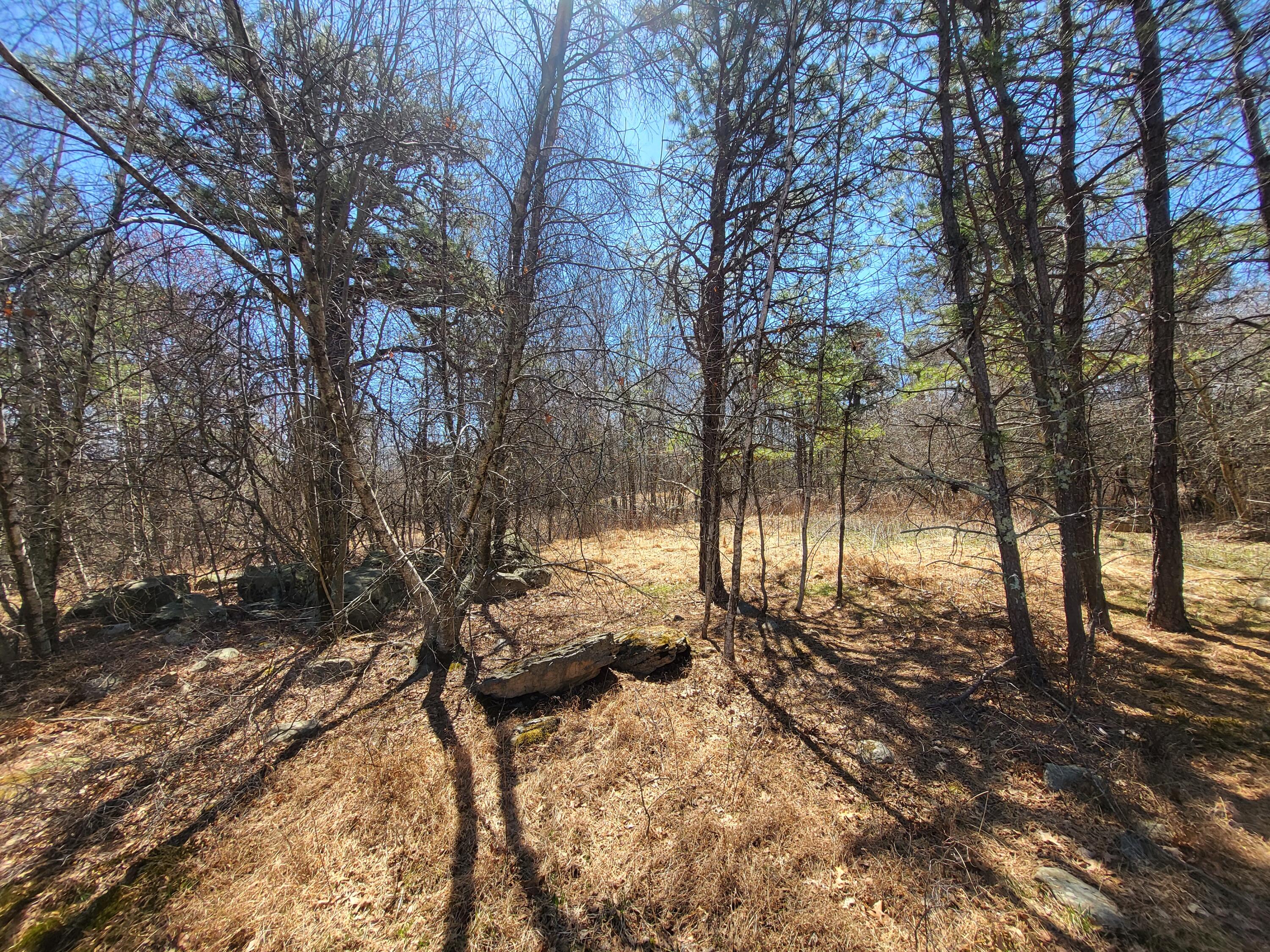 Parcel E Parcel E Buckhorn Lane Cresco, PA 18326 - Photo 6 of 6 a view of yard with trees