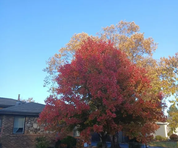 $296,500 | 181 28th Street, South Chicago Heights, IL 60411