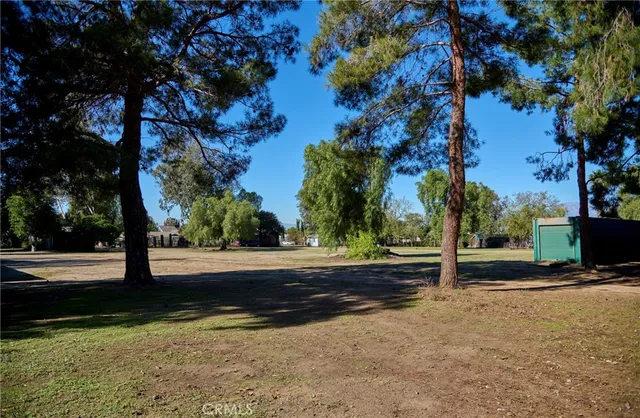 a view of empty field with trees in the background